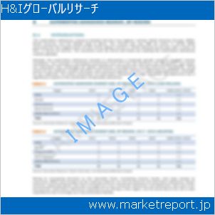 市場と産業調査レポートのイメージ